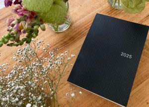 Hobonichi 2025